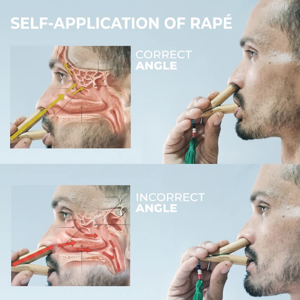 Kuripe zur traditionellen Verwendung von Rap&eacute;