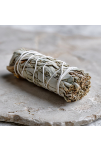 Bild für Kalifornischer Weißer Salbei (Salvia Apiana)