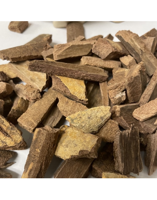 Bild für Chuchuhuasi – Amazonas-Tee